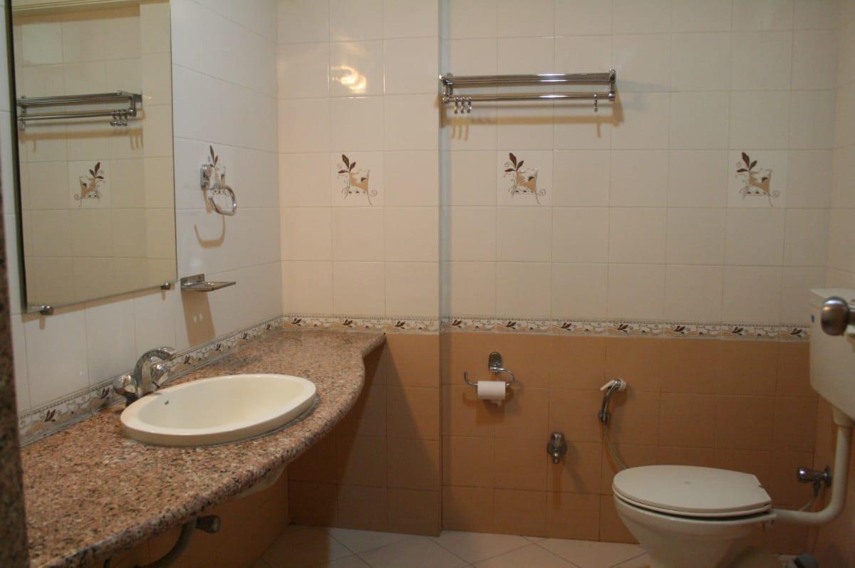 Hotel Sai International Peth  Екстер'єр фото